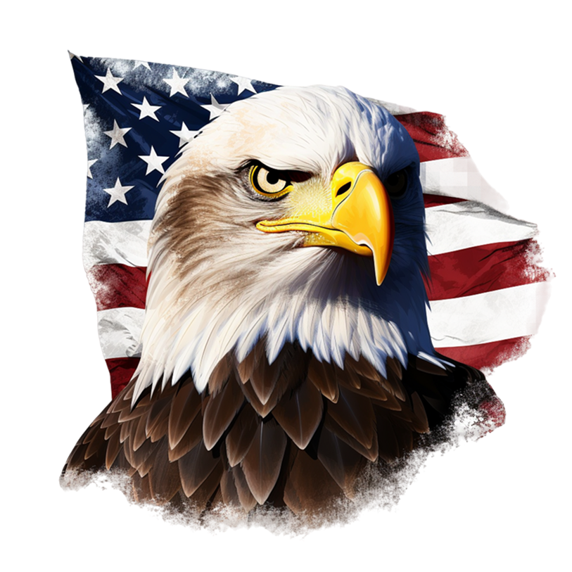 Business women having a brainstor meeting